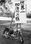 34